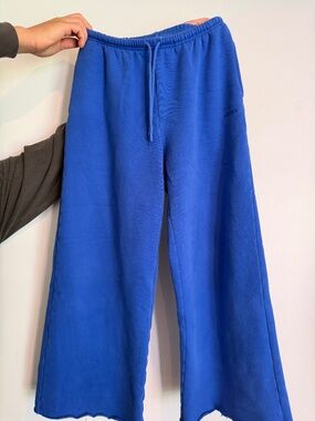 Aritzia Cozy Sweatfleece Mega Flutter Sweatpant in Jazz Blue
